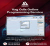 Vag Odis