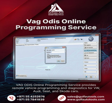 Vag Odis