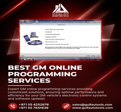 GM Online Programming