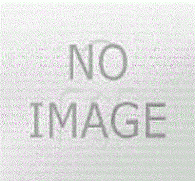 Thinkcar Expert 391