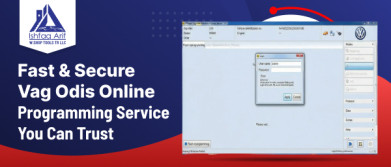 Fast & Secure Vag Odis Online Programming Service You Can Trust