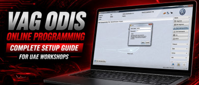 VAG ODIS Online Programming — Complete Setup Guide for UAE Workshops